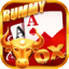 rummy games 51